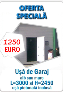 Oferta Usi de garaj